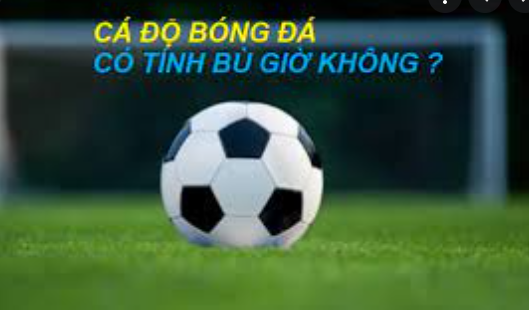 giai-dap-thac-mac-ca-do-bong-da-co-tinh-bu-gio-khong