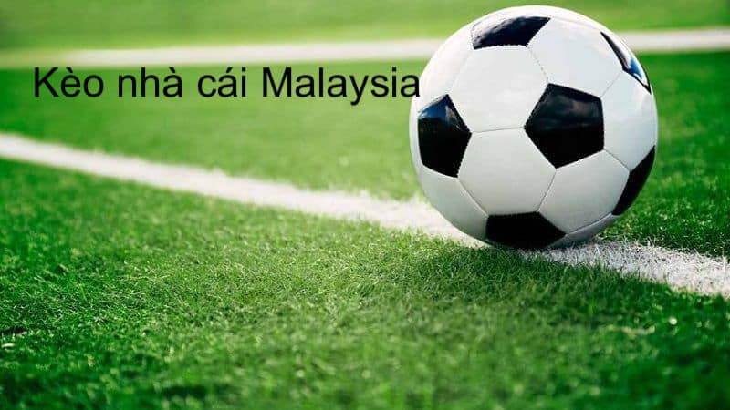 ty-le-keo-malaysia-la-gi-huong-dan-chi-tiet-cach-doc-va-chien-luoc-choi-hieu-qua-tu-a-z4